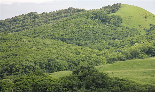 174-В электричке
